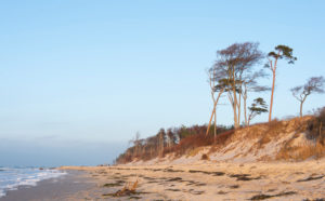 Fischland, Darß, west beach in the evening light, windbreakers Fischland, Darß, west beach in the evening light, windbreakers